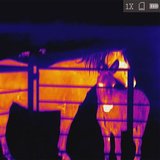 AGM ASP-Micro TM-160 Warmtebeeldcamera_