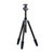 Nest Professioneel Statief NT-6294CK + Balhoofd